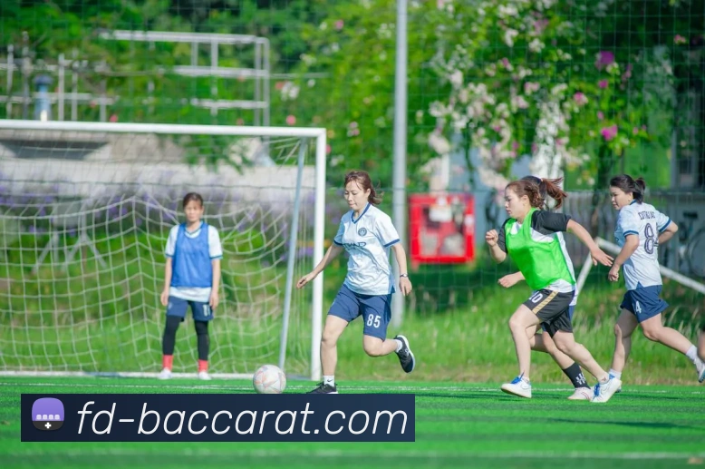 百家乐官网APP 高清赛事图